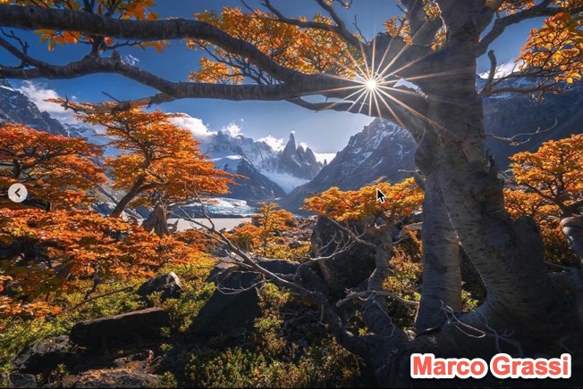 Second Tree at Mirador Maestri