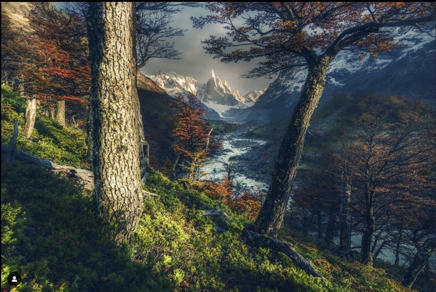 Image de l'article de la corbeille